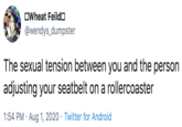 Rollercoaster OWheat Feildo @wendys_dumpster The sexual tension between you and the person adjusting your seatbelt on a rollercoaster 1:54 PM · Aug 1, 2020 · Twitter for Android