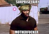 SURPRISE FAIRY M----------- 111-