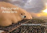 The current Arisu fans Cote community