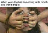 When your dog has something in its mouth and won't drop it mematic nE