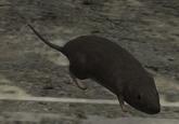 rat video game character