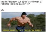 Mom: "honey, what this site with a robotic looking cat on it? Me: MOM WAIT DON'T CLICK ON THAT!!