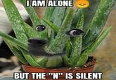 I AM ALONE BUT THE "N" IS SILENT