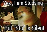 Yes, I am Studying | But "Stu" Is Silent