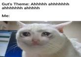 Gut's Theme: Ahhhhh ahhhhhhh ahhhhhhh ahhhhh Мe: