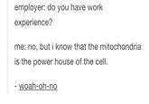 employer: do you have work experience? me: no, but i know that the mitochondria is the power house of the cell. - woah-oh-no Text Font Line