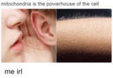 mitochondria is the powerhouse of the cell me irl Skin Face Ear Nose Text Chin Head Cheek Organ Jaw Lip Mouth Neck