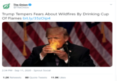 The Onion @TheOnion Trump Tempers Fears About Wildfires By Drinking Cup Of Flames bit.ly/35zOip4 2:34 PM - Sep 11, 2020 · Sprout Social 1.2K Retweets 80 Quote Tweets 11.9K Likes