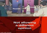 China Reddit Not allowing a different opinion made with mematic