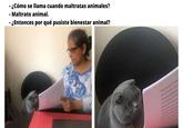 - ¿Cómo se Ilama cuando maltratas animales? - Maltrato animal. ¿Entonces por qué pusiste bienestar animal?