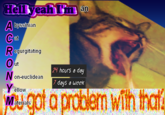 Hell yeah Tn an A byssinian Cat Regurgitating O ut |24 hours a day N on-euclidean |7 days a week ellow Fourigot a problem with thai. Materials
