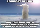 LONGCAT BE LIKE ARE YOU SURE RUTH BADER GINSBURG IS DEAD? IDON'T SEE HER UP HERE