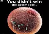 You didn't win H3XA the sperm race...