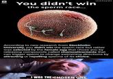 You didn't win H3XA the sperm race... According to new research from Stockholm University, you didn't win the sperm race but rather was selected by the female egg that chose you by releasing compounds called chemoattractants that can trigger sperm to change swimming directions by attracting or repelling sperms of its choice. I WAS THE CHOSEN ONE