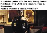 Anakin: you are in my very soul Padmé: No Ani we can't. I'm a Senator *Also Padmé meanwhile*