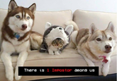 There is 1 Impostor amons us