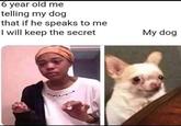 6 year old me telling my dog that if he speaks to me I will keep the secret My dog