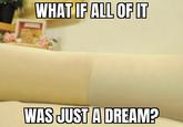 WHAT IF ALL OF IT WAS JUST A DREAM?