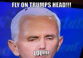 FLY ON TRUMPS HEAD!!! tat ent LOL!!