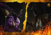 MK ULTIMATE