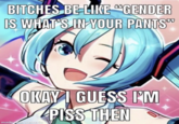 BITCHES BE-LIKE "GENDER IS WHAT'S IN YOUR PANTS" OKAY I GUESS I'M PISS THEN made with mematic