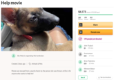 Help movie $6,573 raised of $3,000 goal 349 donors 198 shares 352 followers Share Donate now me 194 people just donated John Truluck $5 10 mins Anonymous Glo Mula is organizing this fundraiser. $10 17 mins Brian Palomino Created 2 days ago Animals & Pets $10 22 mins Winston Bokor Movie was rescued from a psycho Karen by the person she was thrown at this is for $10 27 mins anyone who wants to help her! See all * See top donations