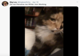 Big Lou @bigbeefkitty · Apr 10 Do not Perceive me While I Am Working