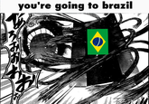 you're going to brazil