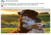 Bunsen and Beaker @bunsenbernerbmd And as she grows, she grows in the big dog's heart. As their friendship grows in all who watch it. #dogs #dogsoftwitter #timelinecleanse #Thursday 1:52 PM · Jul 9, 2020 · Twitter for iPhone