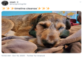 steph : @mylightningrod timeline cleanse 10:52 AM · Oct 19, 2020 · Twitter for Android >