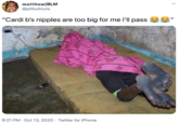 matthew|BLM @pitbullnuts "Cardi b's n------ are too big for me l'll pass ee 9:21 PM · Oct 13, 2020 · Twitter for iPhone >