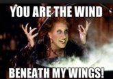 YOU ARE THE WIND BENEATH MY WINGS!