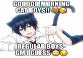 GO00OD MORNING CATBOYS! OG REGULAR BOYS- GMIGUESS