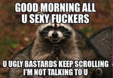 GOOD MORNING ALL U SEXY F------ U UGLY BASTARDS KEEP SCROLLING I'M NOT TALKING TO U