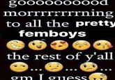 goooooo0ood morrrrrrrrning to all the pretty femboys the rest of y'all om guiess