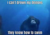 I can't drown my demons They know how to swim