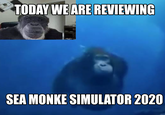 TODAY WE ARE REVIEWING SEA MONKE SIMULATOR 2020