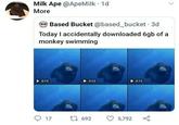 Milk Ape @ApeMilk · 1d More Based Bucket @based_bucket 3d Today I accidentally downloaded 6gb of a monkey swimming 0:15 0:15 0:15 17 17 692 5,792