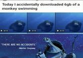 Today I accidentally downloaded 6gb of a monkey swimming 0:15 > 0:15 > 0:15 "THERE ARE NO ACCIDENTS. - Master Oogway