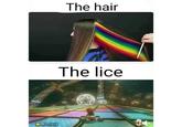 The hair The lice 34 OS /3