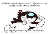 When you successfully insert a USB with only one try heh heh the wisdom fuice is kicking in.