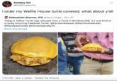 Smokey Vol @theSmokeyVol 00 I order my Waffle House turtle covered, what about y'all Debashish Sharma, IFS @deva_iitkgp · Oct 27 Today a Yellow Turtle was rescued from a Pond in Burdwan,WB. It's one kind of a rarely occuring Flapshell Turtle. @ParveenKaswan @SanthoshaGubbi @RandeepHooda @rameshpandeyifs Show this thread tian AMERA 7:21 PM · Nov 1, 2020 · Twitter for iPhone