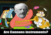 Are Cannons instruments?