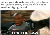when people ask you why you have to upvote every picture of a horse on the high ground IT'S THE LAW