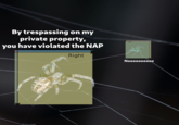 By trespassing on my private property, you have violated the NAP Left Nbertarian Right Noooo0o0000 Libe an