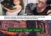 Woman adopts elderly dog from shelter and finds out it's actually her lost childhood puppy Everyone liked that