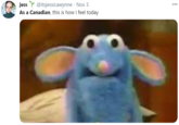 jess Y @itsjessicawynne · Nov 3 As a Canadian, this is how I feel today 000