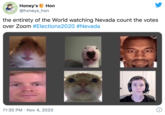 Honey's @hxneys_hon Hon the entirety of the World watching Nevada count the votes over Zoom #Elections2020 #Nevada 11:30 PM · Nov 4, 2020