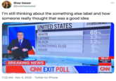 Shea Vassar 000 @justsheavassar I'm still thinking about the something else label and how someone really thought that was a good idea PRESIDENT UNITED STATES 65% 13% 12% 6% 3% RACE WHITE LATINO BLACK SOMETHING ELSE ASIAN CNN EXIT POLL 56:12 NEXT POLLS CLOSE BREAKING NEWS CN EXIT POLL BCNNELECTIOM 7:22 AM · Nov 4, 2020 · Twitter for iPhone