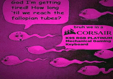 God I'm getting tired! How long 'til we reach the fallopian tubes? fuckpaxton bruh we in a CORSAIR K95 RGB PLATINUM Mechanical Gaming Keyboard